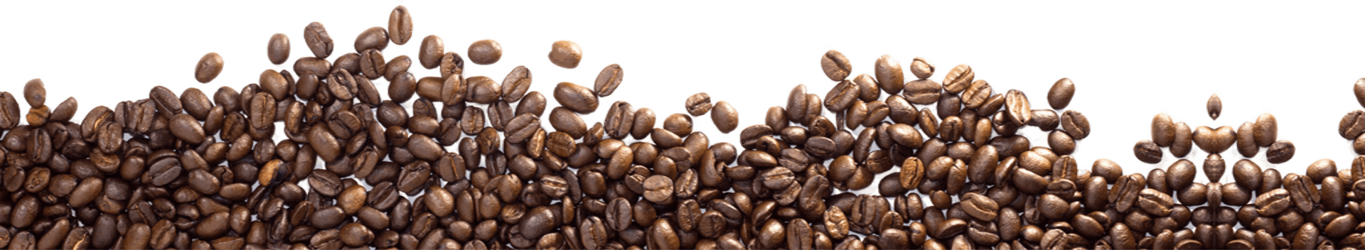 Footer Background